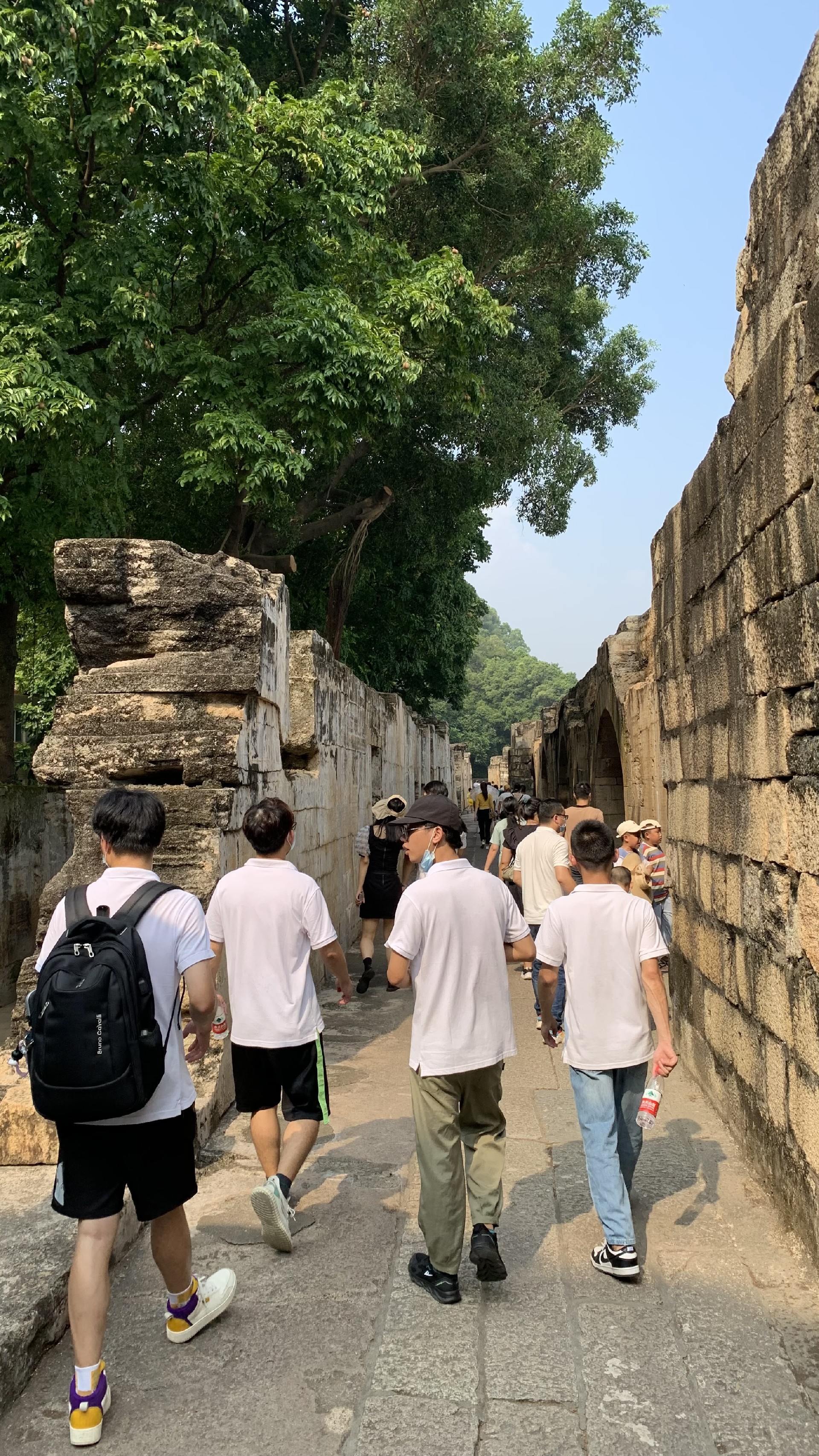 1686034550925448.jpg IMG_0445.JPG