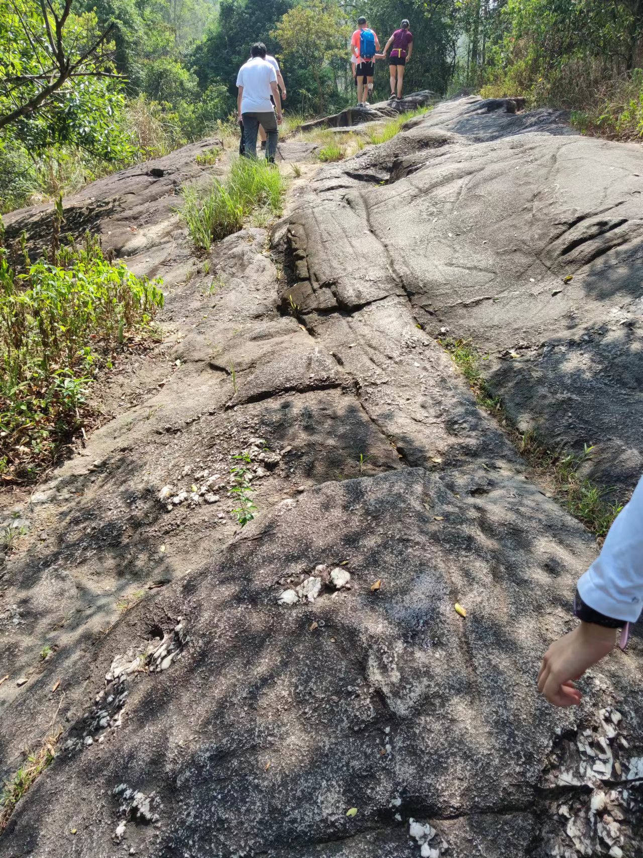 1686034693247994.jpg IMG_0427(20220731-130531).JPG