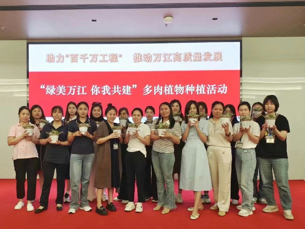 助力“百千萬(wàn)工程” | 巧手種多肉 綠美我家園