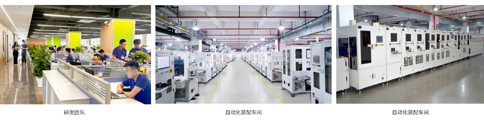 1724222559610576.jpg 11.jpg